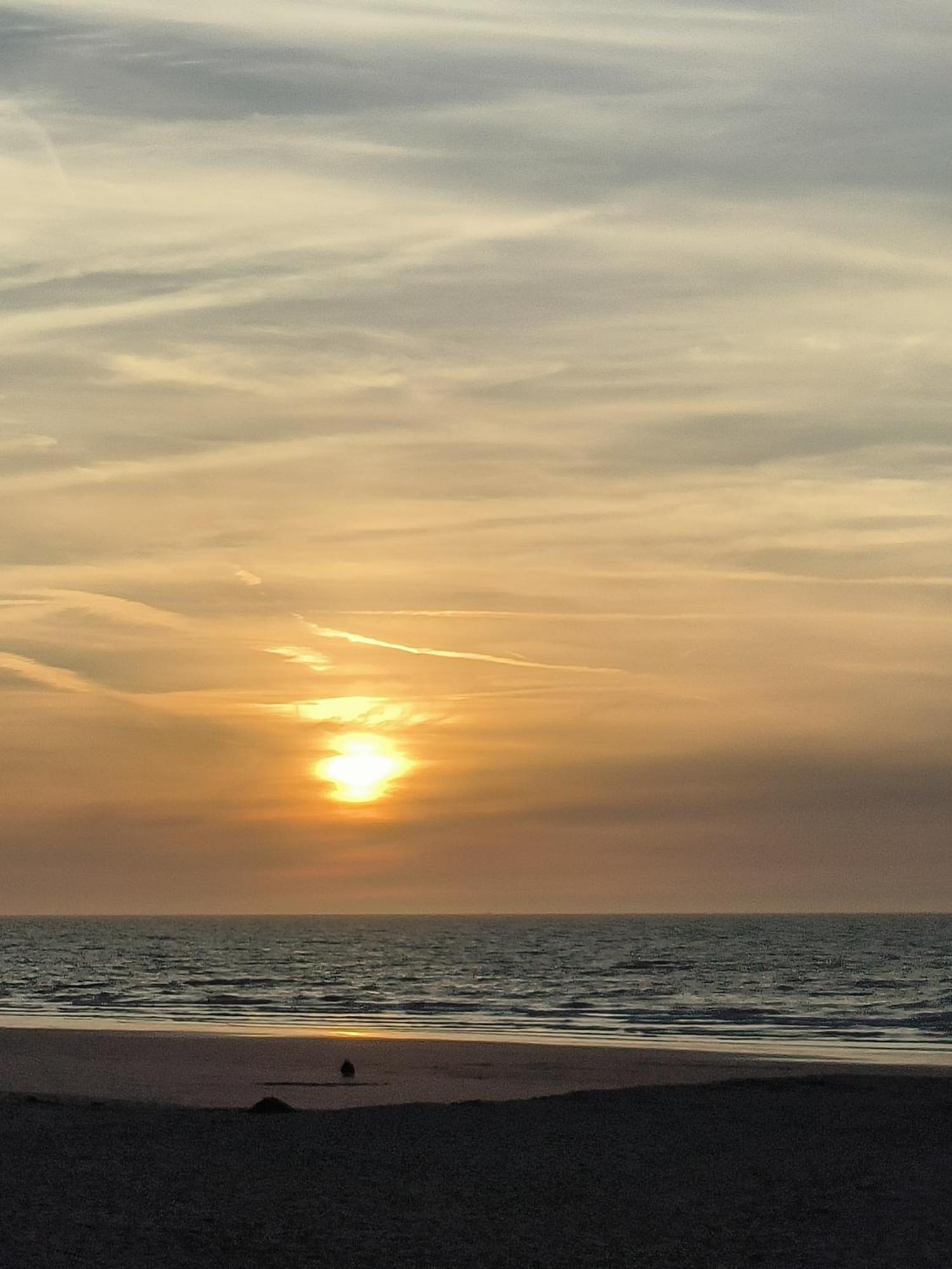 Chez Sophie Lägenhet Oostende Exteriör bild
